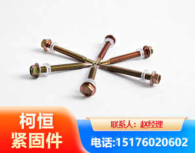 巴音郭楞六角钻尾丝